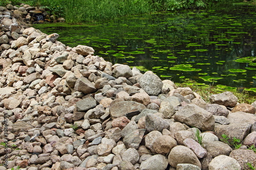 Beautiful cobblestones dam close up on forest river overgrown with green water Lily leaves on a summer day