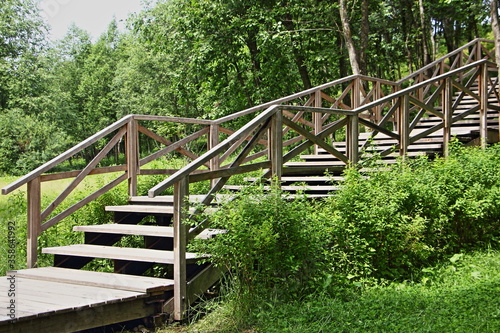 Empty large outdoor wooden staircase with a many steps in the Park against the background of green plants on a Sunny summer day