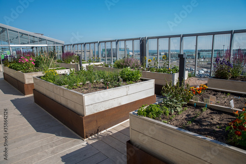 Garden on the roof - residential building close to Helinki port and Baltic Sea photo