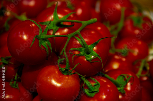 Red shining tomatoes with green stems