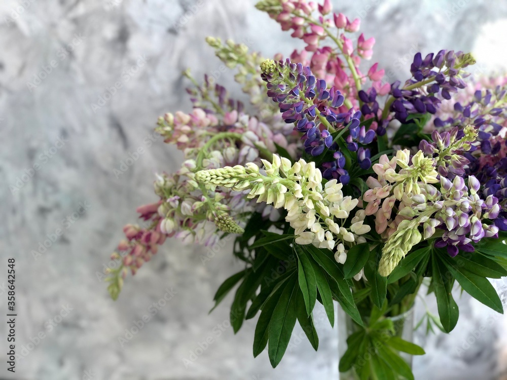 Obraz premium Lupine flowers beautiful colorful bouquet 