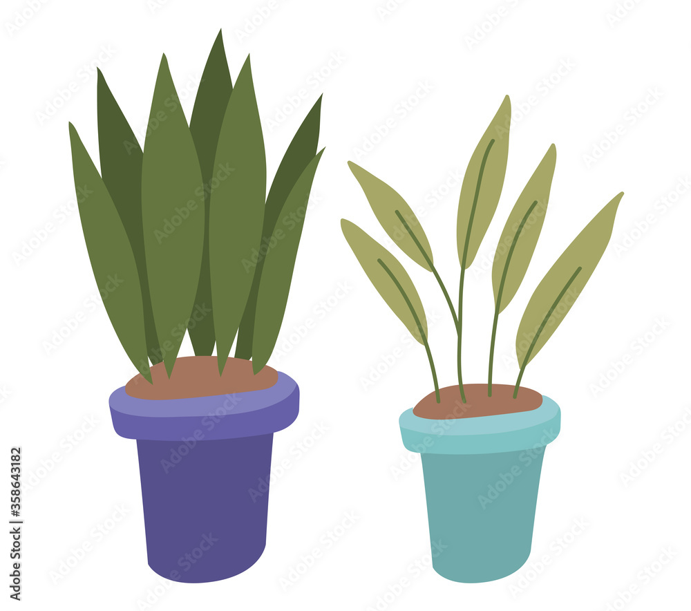 Plants inside pots design of Floral nature garden ornament botany decoration beauty and flora theme Vector illustration