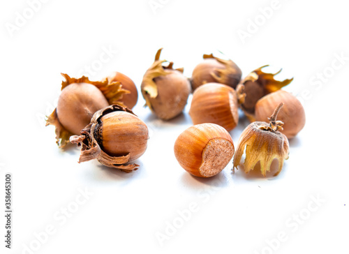Hazelnuts isolated on white. Bright hazelnuts.