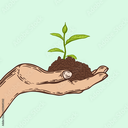 plant grow in hand