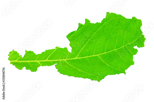 Map of Austria in green leaf texture on a white isolated background. Ecology, climate concept. 3d illustration.. 3d illustration.