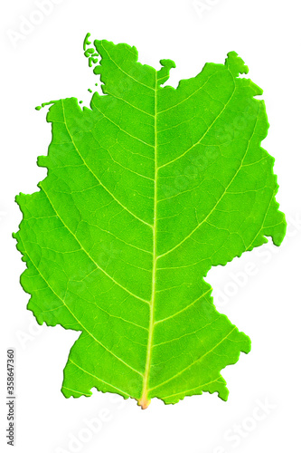 Map of Germany in green leaf texture on a white isolated background. Ecology  climate concept. 3d illustration.