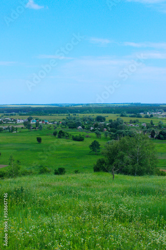 Green field and blue sky background, vertical view. Landscape, nature, farmland concept. Nature Background.