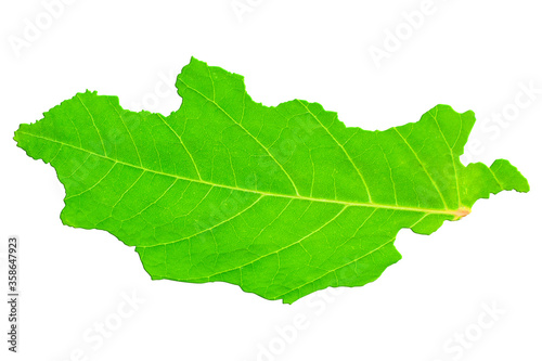 Map of Mongolia in green leaf texture on a white isolated background. Ecology, climate concept. 3d illustration.