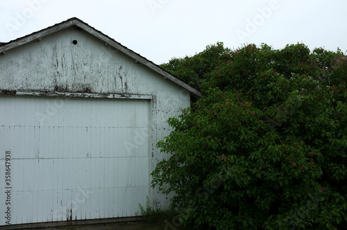 white old shed with bushes
