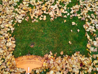 Pile of fall leaves with fan rake on lawn