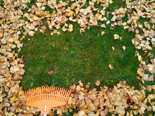 Pile of fall leaves with fan rake on lawn