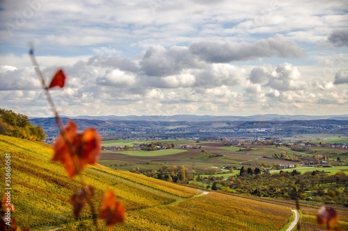 Schöner Weinberg am Heuchelberg in Leingarten, Deutschland  photo