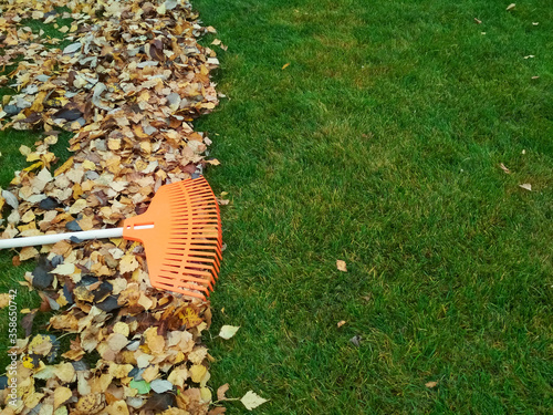 Obraz na plátně Pile of fall leaves with fan rake on lawn