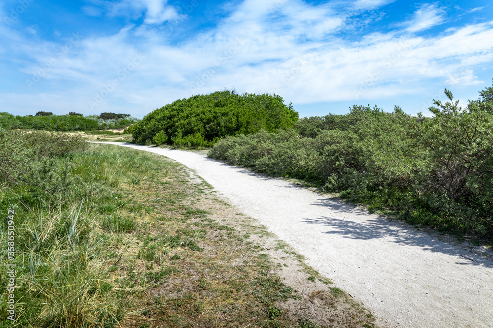 A shell path through the Katwijk dunes on a sunny day in the Netherlands.