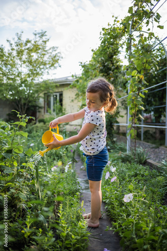 Little girl assistant watering vegetables in the garden