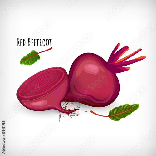 Whole, halved red beetroot plant isolated on white background. Healthy diet vegetarian organic salad food. Vector illustration.