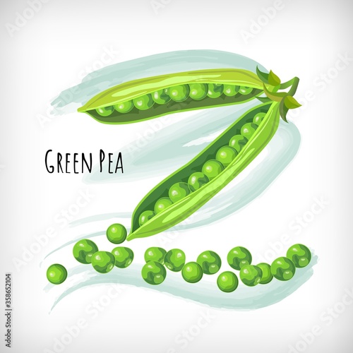 Green pea in flat style on watercolor background. Lettering Green Pea. Hand drawn vector image.
