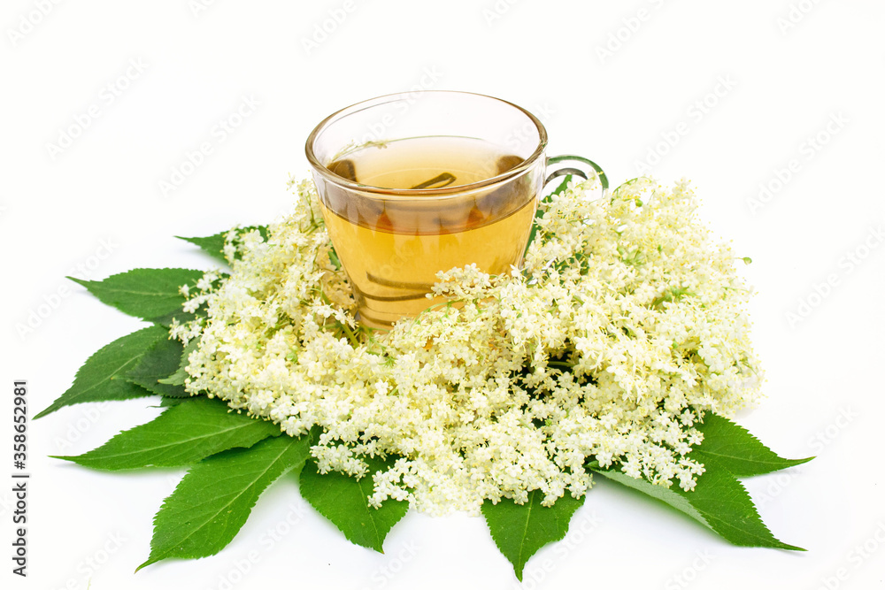 Elderberry tea (Sambucus nigra) on white background Elderberry tea (Sambucus nigra) on white background