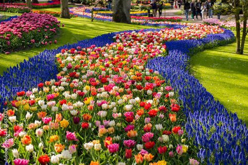 It's Keukenhof park in Netherlands