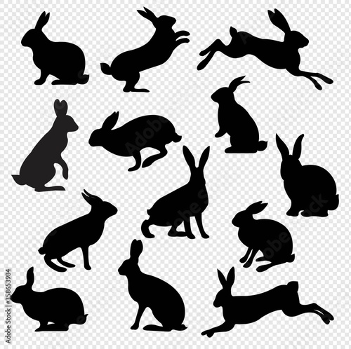 Big Set Rabbit Isolated Transparent Background, Vector Illustration