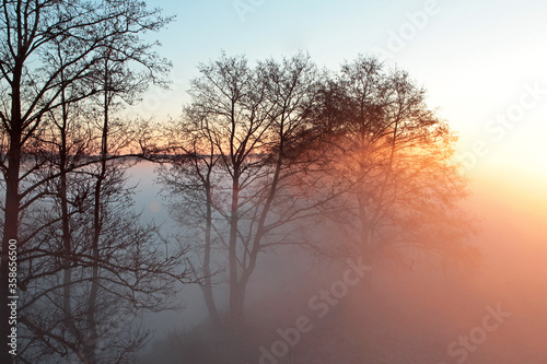 Morning with thick fog over the river. Dawn on a summer morning. © Ramil