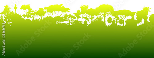 Forest silhouette deciduous. Vector. Summer landscape. Jungle.