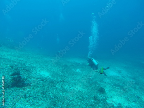 Plongeur sous marin aux îles Gili, Indonésie	