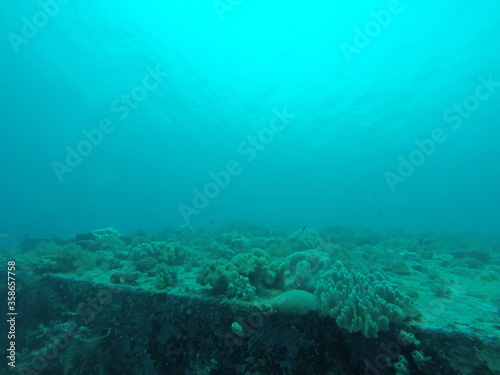 Plongée sous marine aux îles Gili, Indonésie 