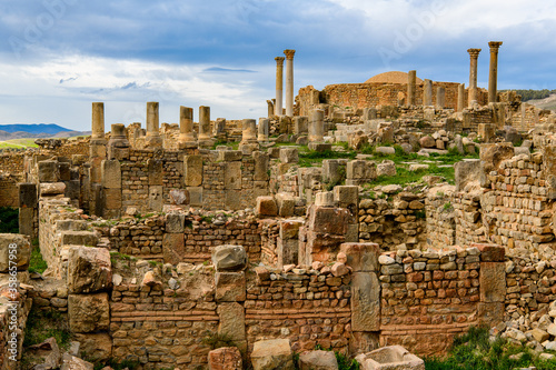 Multiple columns of Djemila, the archaeological zone of the well preserved Berber-Roman ruins in North Africa, Algeria. UNESCO World Heritage Site photo