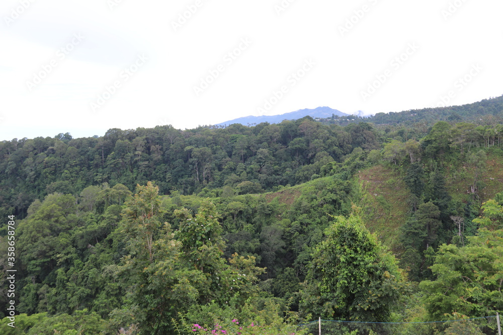 Obraz premium Forêt à Lombok, Indonésie 