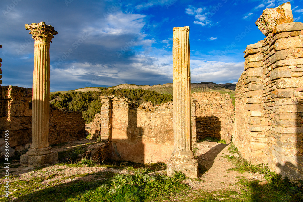 Nature and ruins of Djemila, the archaeological zone of the well preserved Berber-Roman ruins in North Africa, Algeria. UNESCO World Heritage Site