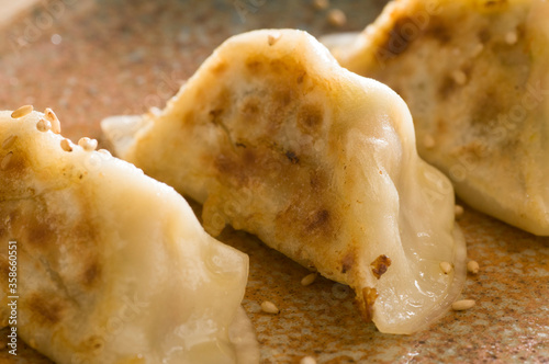 grilled gyoza