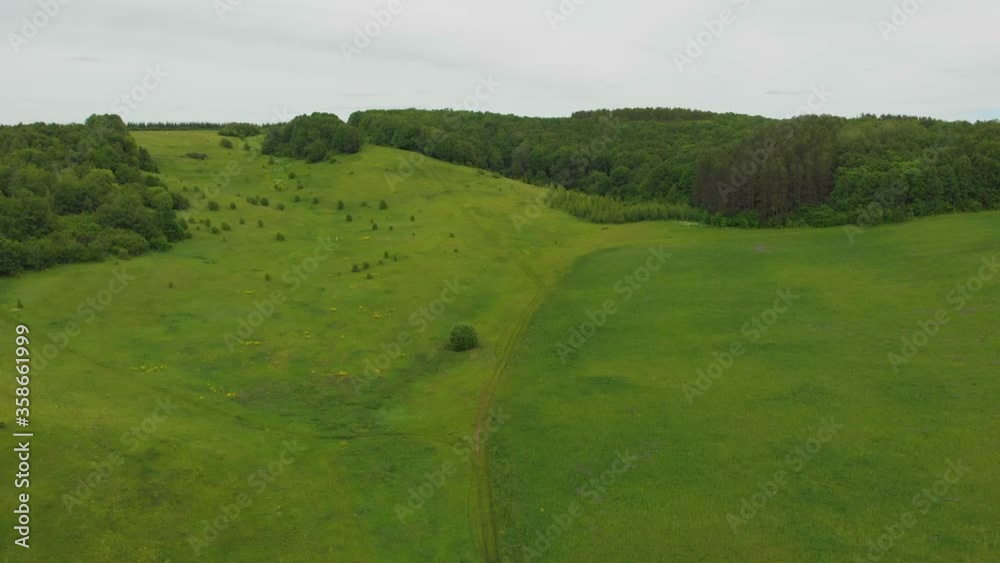 Bright green open field near the forest while day time Bright green open field near the forest while day time