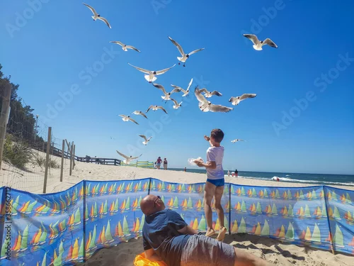 Obraz Chłopiec karmi mewy na plaży.