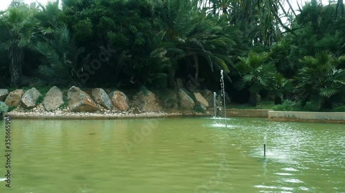 Parque El palmeral en la Costa Blanca Alicante España