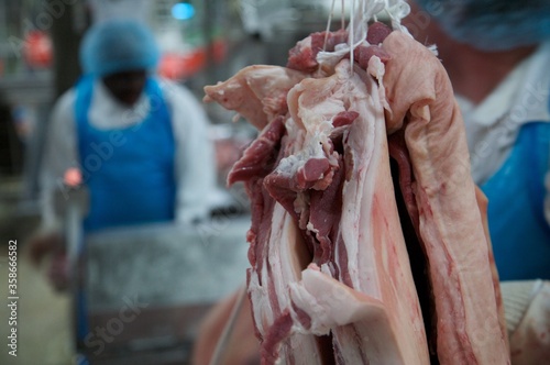 Fleisch Industrie, Schlachtungen 