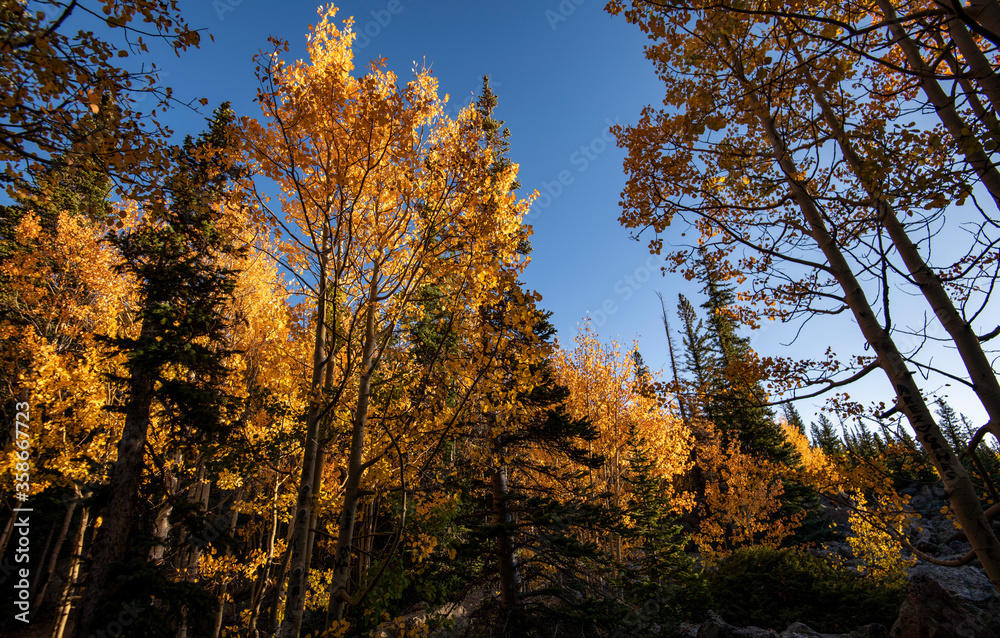 Fototapeta premium Fall time in the Rocky Mountains