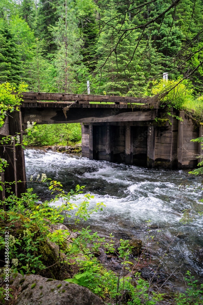 Camp Creek bridge crossing Camp Creek in Wallowa-Whitman National Forest in Oregon, USA (portrait)