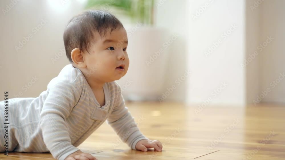 はいはいをする赤ちゃん はいはいをする赤ちゃん