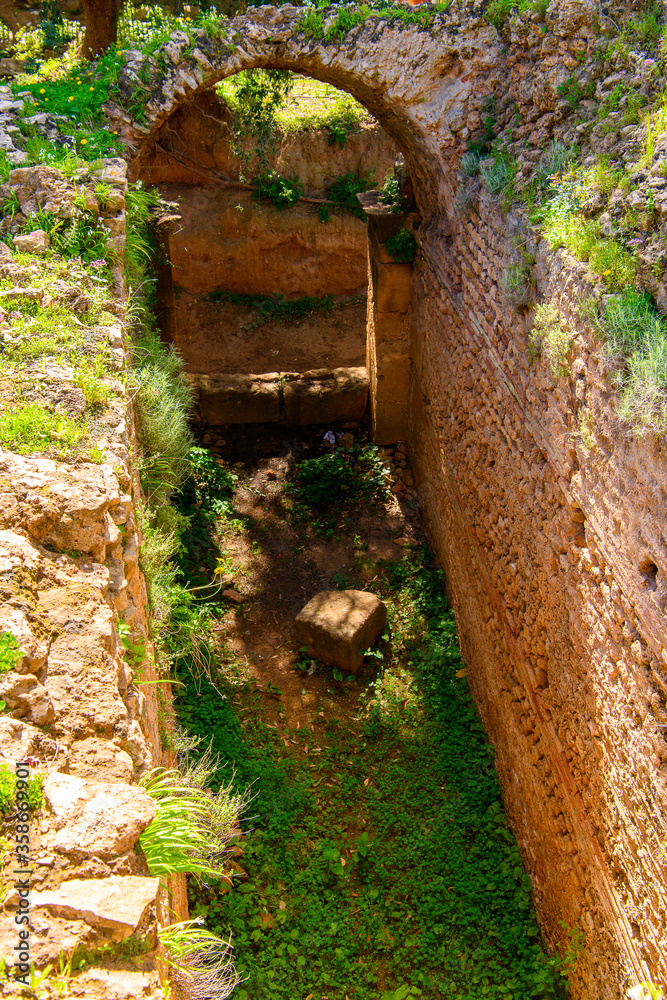 Naklejka premium Nature and Roman ruins of Tipasa, a colonia in Roman province Mauretania Caesariensis, nowadays Algeria. UNESCO World Heritage Site