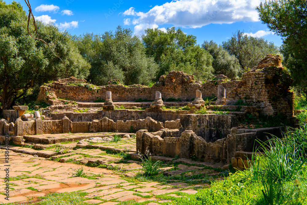 Fototapeta premium Amphitheater of Tipasa, a colonia in Roman province Mauretania Caesariensis, nowadays Algeria. UNESCO World Heritage Site