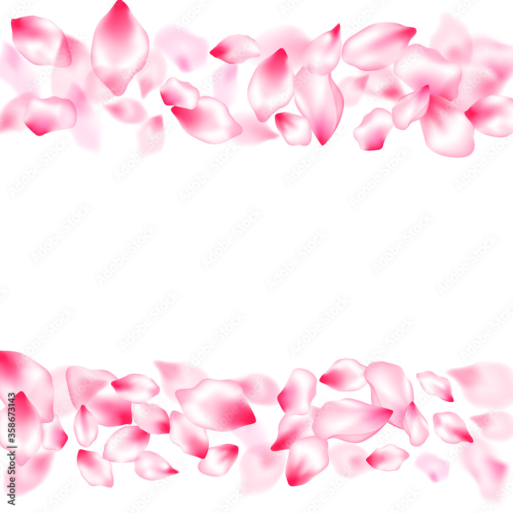 Pink sakura petals confetti flying and falling Pink sakura petals confetti flying and falling