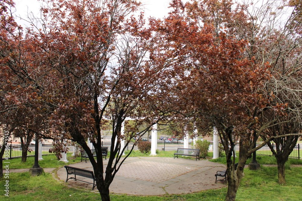 Naklejka premium Plantas en la ciudad