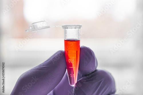 Wallpaper Mural Red sample in a 1.5 ml microcentrifuge tube in gloved hand Torontodigital.ca
