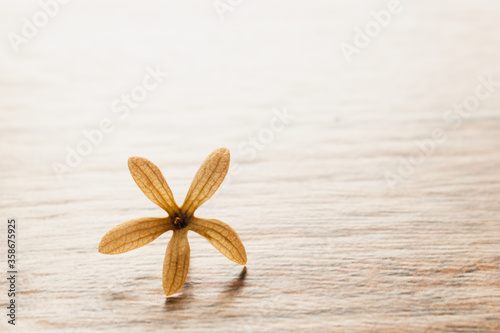 Dried flower on old wood background.The flower placed on old wood texture.