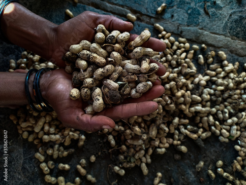 Ground nuts on the hand