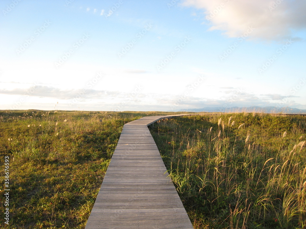 Fototapeta premium A straight road in the meadow. 草原の一本道