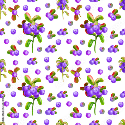 Fototapeta Naklejka Na Ścianę i Meble -  Floral watercolor illustrations. Colorful seamless Wallpaper with a pattern of branches, leaves and berries of Irga on a white background