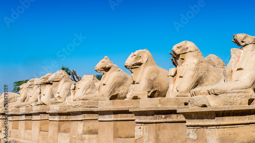 It's Ram statues of the Karnak temple, Luxor, Egypt (Ancient Thebes with its Necropolis). UNESCO World Heritage site