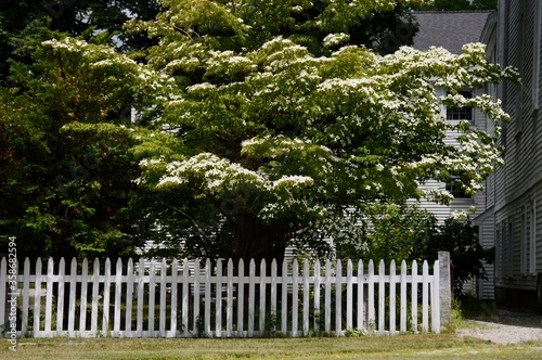 white picket fence with New England architecture